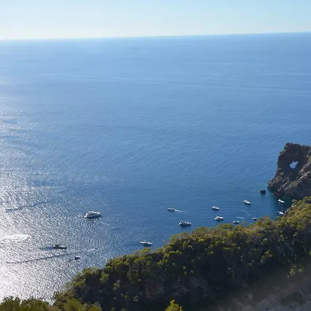 Carrasqueta Port d'Alcúdia