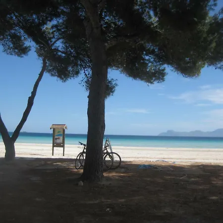 Carrasqueta * Port de Alcudia (Mallorca)